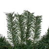 Vickerman Artificial Canadian Pine Wreath Unlit - view 5 of 5