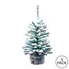 Vickerman Flocked Mini Pine Tabletop Artificial Christmas Tree - view 3 of 5