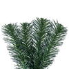Vickerman Douglas Fir Artificial Garland - view 5 of 5