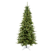 Slim Trees