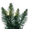 Vickerman Artificial Camdon Fir Wreath - view 6 of 6