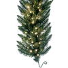 Vickerman Artificial Camdon Fir Garland - view 4 of 6