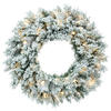 Vickerman Flocked Utica Fir Artificial Wreath  - view 1 of 6