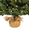 Vickerman Anoka Pine Artificial Christmas Tabletop Tree - view 4 of 4