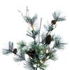 Vickerman Artificial Dakota Pine Garland - view 6 of 6