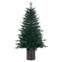 Green Potted Trees
