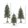 Vickerman Natural Bark Alpine Artificial Christmas Tree Set - view 4 of 7