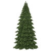 6' x 54" Oregon Fir Tree Top 997Tips - view 1 of 2