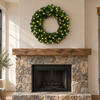 Vickerman Oregon Fir Artificial Wreath - view 2 of 7
