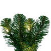 Vickerman Artificial Oregon Fir Garland - view 6 of 6