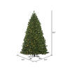 Vickerman Oregon Fir Outdoor Artificial Christmas Tree - view 3 of 3
