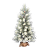 Vickerman Norfolk Frosted Pine Artificial Christmas - view 1 of 3