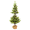 Vickerman Austrian Pine Series Artificial Christmas Wreath - view 1 of 3