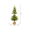 Vickerman Austrian Pine Series Artificial Christmas Wreath - view 3 of 3
