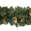Vickerman Emerald Mixed Fir Artificial Garland - view 4 of 6