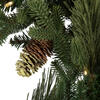 Vickerman Emerald Mixed Fir Artificial Wreath - view 5 of 7