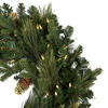 Vickerman Emerald Mixed Fir Artificial Wreath - view 4 of 7