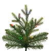 Vickerman Wistler Spruce Artificial Pre-Lit Christmas Tree - view 3 of 6