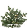 Vickerman Northern Blue Spruce Artificial Christmas Tree - view 2 of 6
