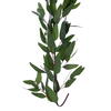 Vickerman Artificial Green Seeded Willow Eucalyptus Collection - view 3 of 5