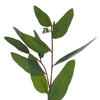 Vickerman Artificial Green Seeded Willow Eucalyptus Collection - view 2 of 5