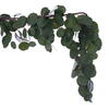 Vickerman Artificial Green Silver Dollar Populus Eucalyptus Collection - view 4 of 5