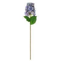 34" Cone Hydrangea Sprays