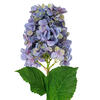 Vickerman 34" Artificial Cone Hydrangea Spray, 2 per bag - view 2 of 5
