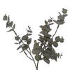 Vickerman Artificial Green Gray Eucalyptus Collection - view 2 of 5