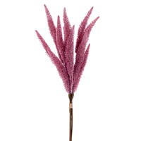 Foxtail Bundles
