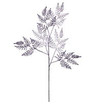 Fern Sprays