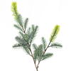Vickerman Blue Spruce Series - view 2 of 3