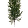 Vickerman Green Cypress Series - view 2 of 4
