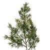 Vickerman Green Cypress Series - view 4 of 4