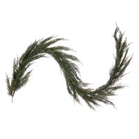 Green Cedar
