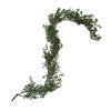 Vickerman Artificial Green Snow Cedar and Eucalyptus Garland - view 1 of 8