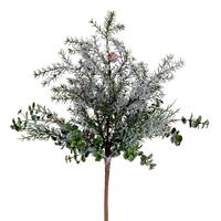 Bush