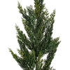 Vickerman Green Cedar Spray, 2 per bag - view 2 of 4