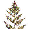 Vickerman Mardi Grass Glitter Fern Spray - view 2 of 4