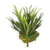 13" Staghorn Fern Bush Frosted-Green - view 1 of 4