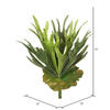 13" Staghorn Fern Bush Frosted-Green - view 4 of 4