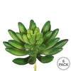 Vickerman Artificial 4" Cactus Stem - view 4 of 4