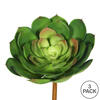 Vickerman Artificial Green Cactus Stem - view 4 of 4