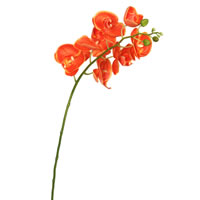 Real Touch Orchid Stems