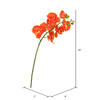 Vickerman 35" Real Touch Orchid Artificial Floral Stem - view 3 of 3