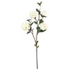 38" Cream Magnolia 3/pk - view 1 of 4