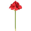 28" Red Single Amaryllis 3/pk - view 1 of 4