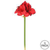 28" Red Single Amaryllis 3/pk - view 4 of 4