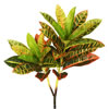 23" Fresh Touch Croton Spray 3/pk - view 1 of 4
