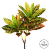 23" Fresh Touch Croton Spray 3/pk - view 4 of 4